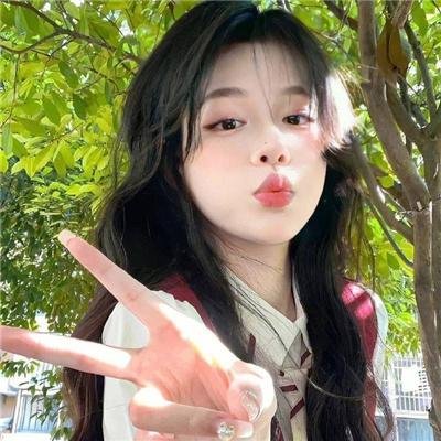 影子拳手